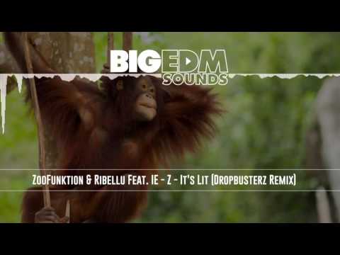 ZooFunktion & Ribellu Feat. IE - Z - It's Lit (Dropbusterz Remix) *FREE Download*