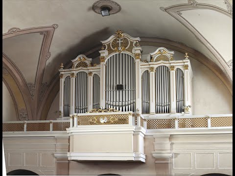 Skalické organy II.