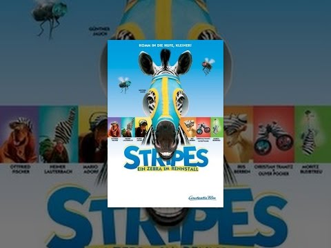 Stripes - Ein Zebra im Rennstall