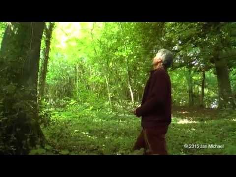 BIENEN IM HERZEN DER BÄUME - Zeidlerei Projekt in der Normandie