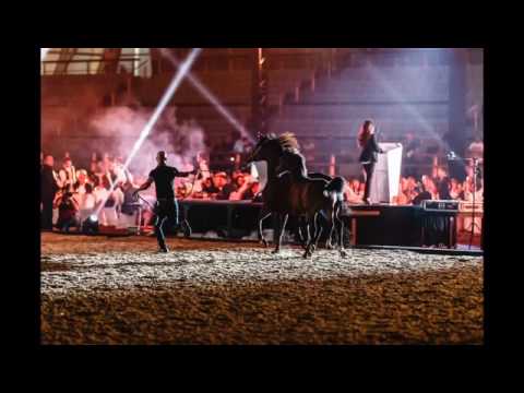 Video 2017 01 30, 8 28 37 AM