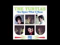 THE TURTLES   "YOU KNOW WHAT I MEAN"  1967   (2025  FULL BALANCED STEREO REMIX)
