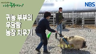 [사랑이 넘치는 동물농장] 시끌벅적 동물농장에 오신 걸 환영합니다~!