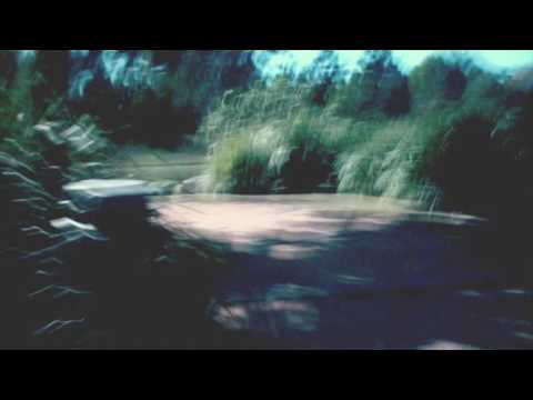 AshMcAuliffe - Auxesis