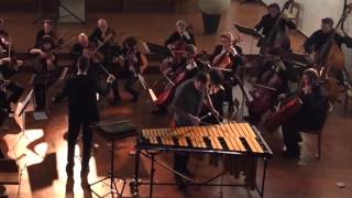 Alain Tissot - Concerto pour vibraphone et orchestre à cordes - Mvmt 1