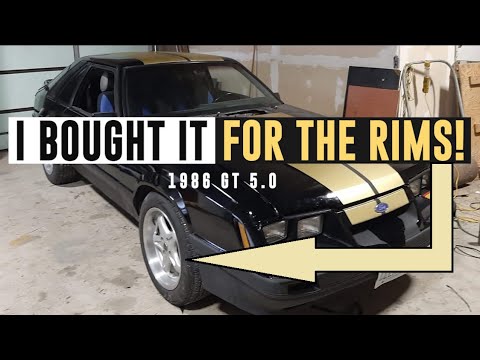 I bought this 1986 Mustang GT for the ROH Wheels! Will I strip it? - TIP S04E14
