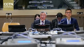 Se establece el Grupo de Amigos de la Gobernanza Global en la sede de la ONU en Nueva York