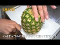 スーパーで買ったパイナップルの再生栽培を成功させる方法  / How to regrow pineapple from store-bought pineapple.