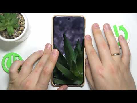 Camera Tips and Tricks for Motorola Edge 50 Neo