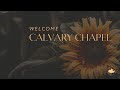 Guest speaker John Adams - Word study: Love + Loyalty