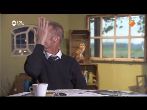 De Rijdende Rechter 12-03-2019 - Bittere pillen