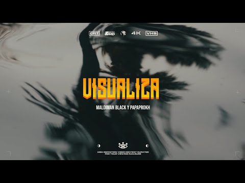 Zkt1 Audiovisual and 2 more