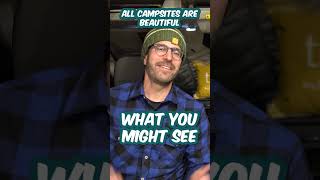 Camper Van LIES Nobody Talks About (Pt. 1) #shorts #rvlife  #camping #outdoors