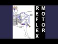 Reflex Motor (2022 Remaster)
