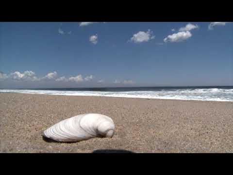 Beach Sweep April 13