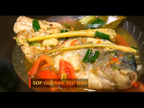 Resep Nenek Dari Potensi Umpan Balik Tetes Palu Impotensi Pada Turki