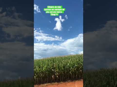 Silhueta de Anjo aparece em combate no céu estrada Castro-Tibagi -Pr #fé #tibagi #sãomiguelarcanjo