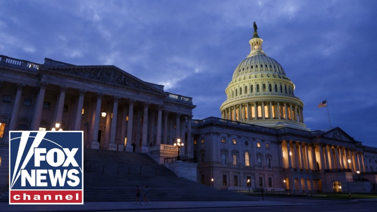 Democrats appear fractured amid growing influence of Democratic socialists