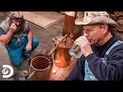 La Competencia que Redefine el Espíritu de los Destilados