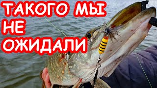 Блесна вертушки на щуку и окуня