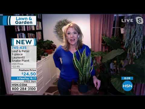 HSN | Pre-Season Lawn & Garden Sale 02.26.2021 - 06 PM