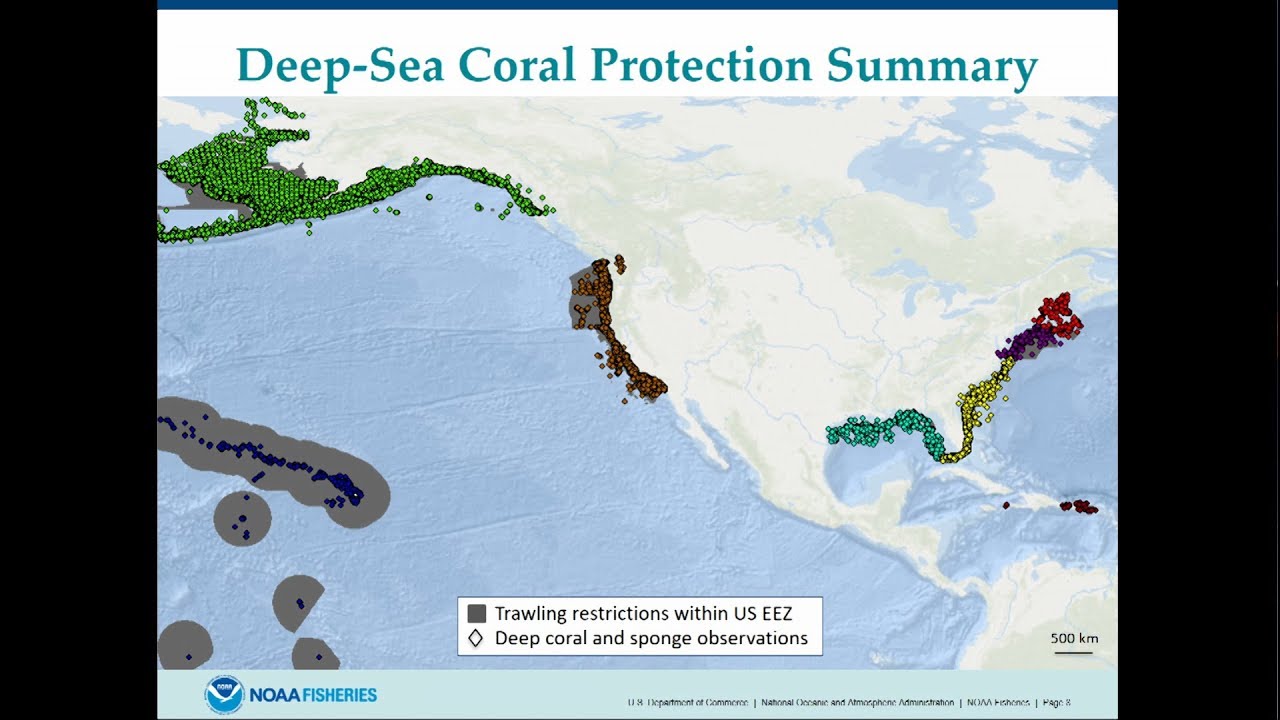 Deep-sea Corals of the USA: Surveys, Maps, Models, and Visualization