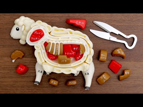 羊の解体パズルとルームツアーを少し。Sheep Dissection Puzzle. Room Tour. Japanese toy. lamb