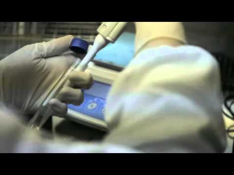 Tecnologie molecolari