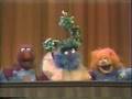 Sesame Street Island Pageant