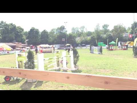 Carlucci - CS Aarberg 135