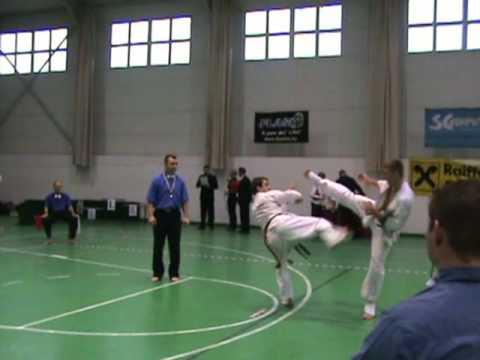 Kyokushinkai IKO Matsushima Hrvatska 3-Mađarska