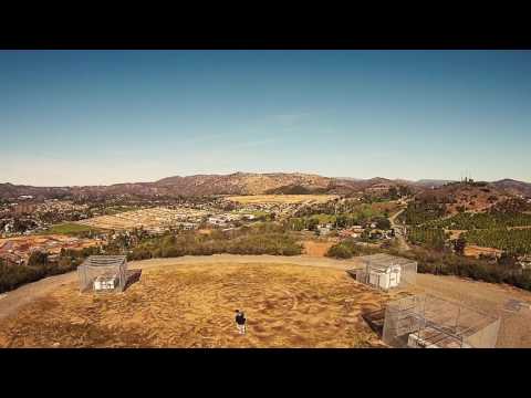 Benjamin's & Cannabis - DazedOut (Promo Video)