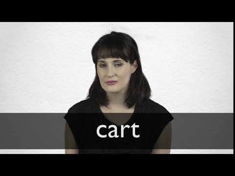 CART definition in American English | Collins English Dictionary