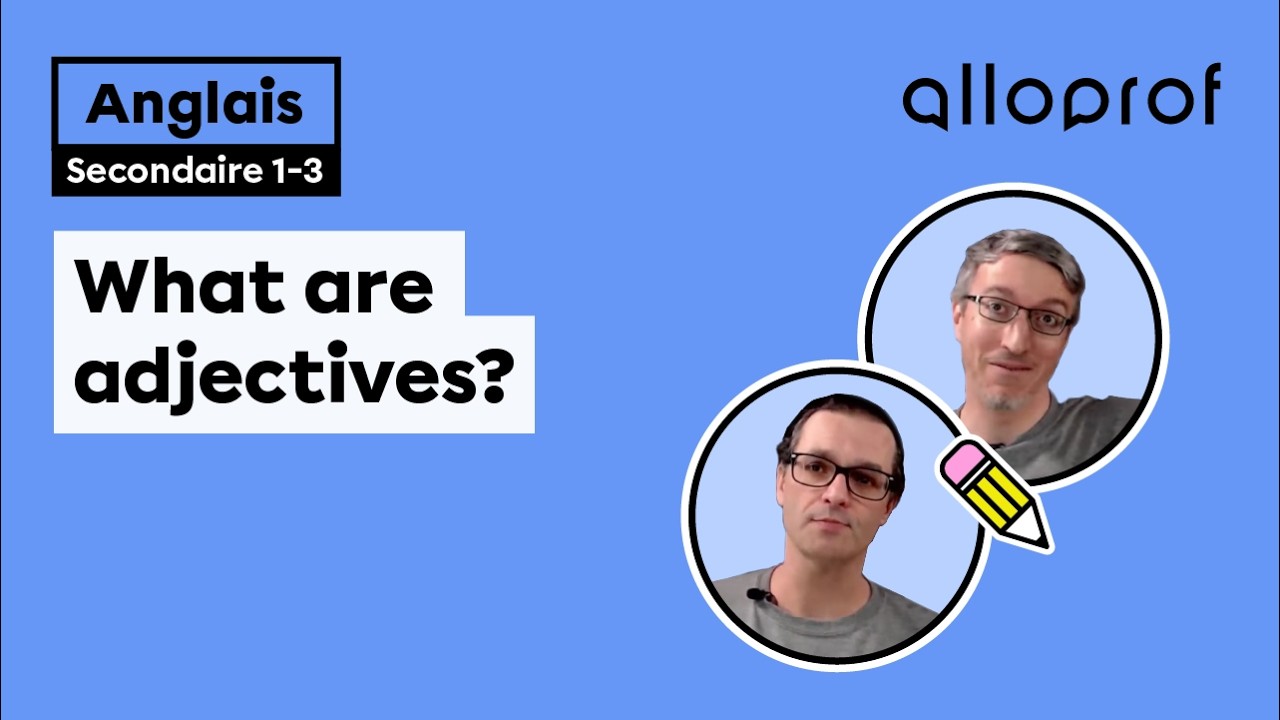 What are adjectives?