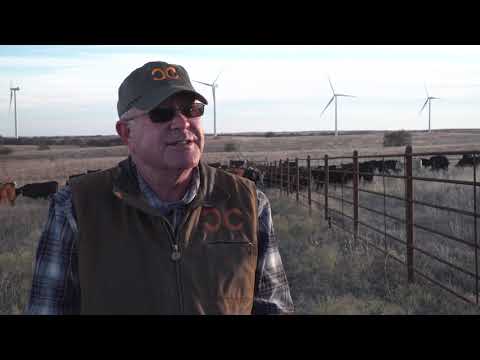 Day in the Life: Chuck Coffey - Okalhoma Cattle...