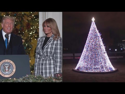 Melania Trump lights up the national Christmas tree at the White House | AFP