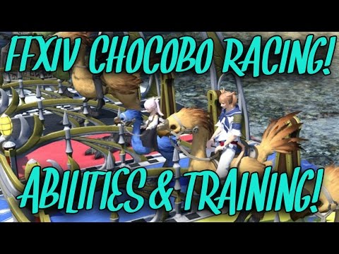 FFXIV Chocobo Racing: Abilities & Training! (+ Selfie Competition!)