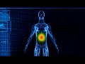 IBS Tummy Stomach PAINKILLER Frequency Immediate Relief 8Hz