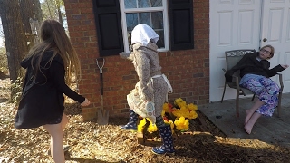 Marigolds by Eugenia Collier-Reenactment