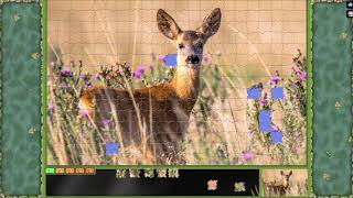 Pixel Puzzles Ultimate ► video № 40 ◄