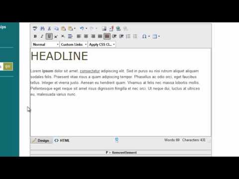 10. Basic Text Formatting - DNN Video Tuturial - Embolden
