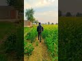 Sajan Mila De Rabba Merea By Harjeet Harman Stetus