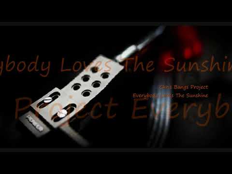 Chris Bangs Project ~ Everybody Loves The Sunshine