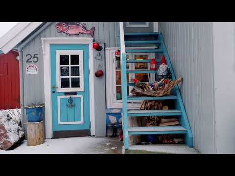 Winter wonderland walking tour 20 minutes outside Oslo- Drøbak