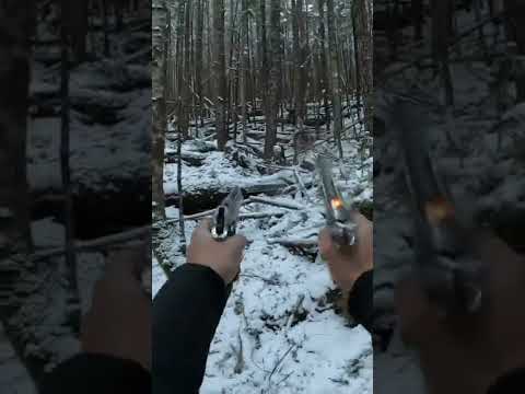 Dual Wielding Chrome Beretta and Taurus 🔥🔥