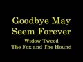 Goodbye May Seem Forever lyrics