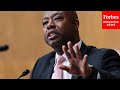 Tim Scott Slams Dems, Claims Build Back Better Would’ve Made Childcare 'Less Affordable’
