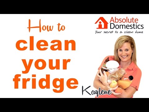 How to Clean Your Fridge