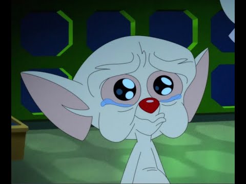 the brain being a softy for 27 more minutes (part three)