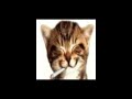 Be Your Girl X Luxurious TikTok Remix Full Song